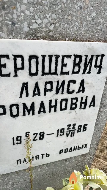 Ерошевич Лариса Романовна