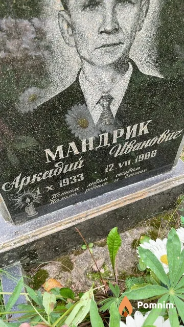 Мандрик Аркадий Иванович