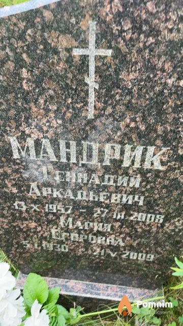 Мандрик Геннадий Аркадьевич