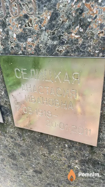 Селицкая Анастасия Ивановна