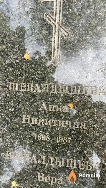 Шевалдышева Анна Никитична