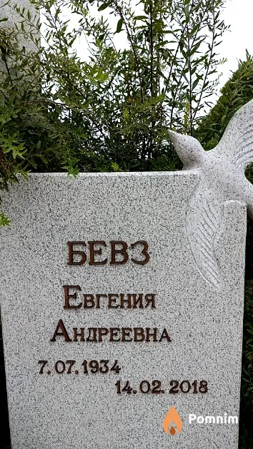 Бевз Евгения Андреевна