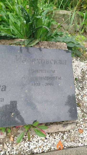 Малаховская Валентина Александровна