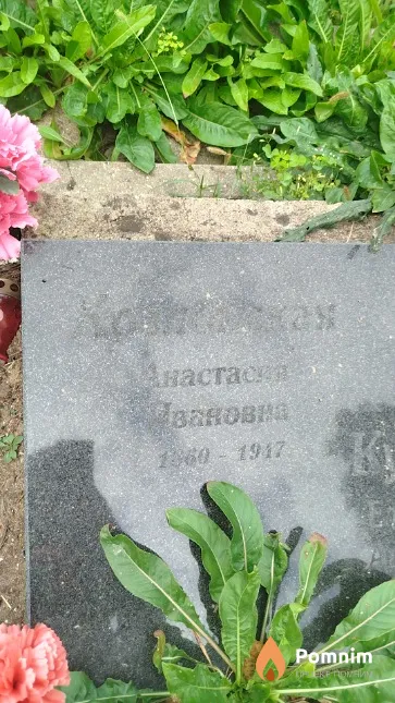 Козловская Анастасия Ивановна