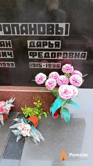 Скоропанова Дарья Федоровна