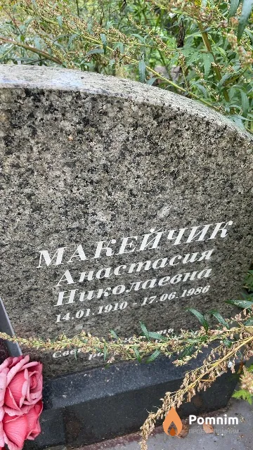 Макейчик Анастасия Николаевна