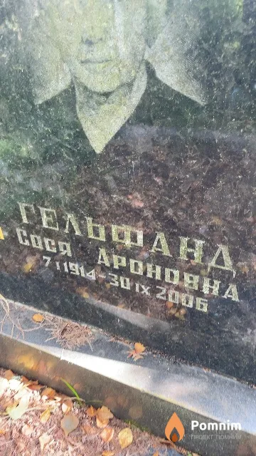Гельфанд Cocя Ароновна