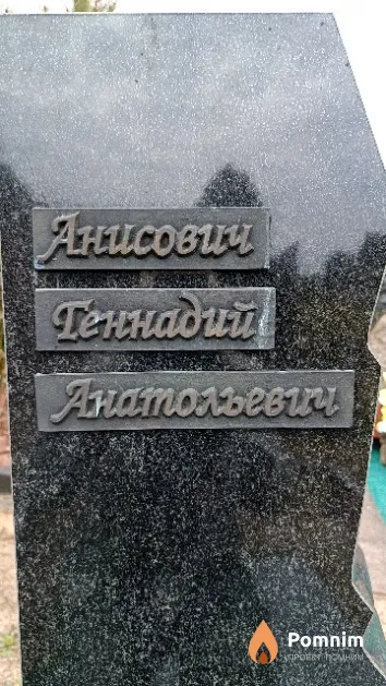 Анисович Геннадий Анатольевич