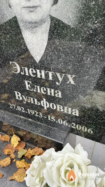 Элентух Елена Вульфовна