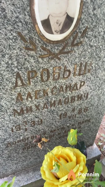 Дробыш Александр Михаилович