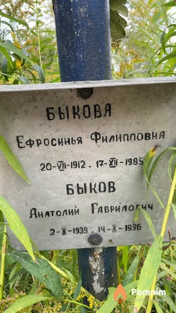Быкова Ефросинья Филипповна