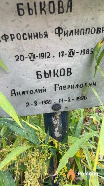 Быков Анатолий Гаврилович