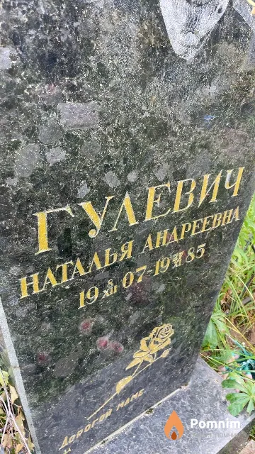 Гулевич Наталья Андреевна