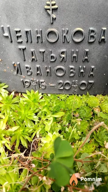Челнокова Татьяна Ивановна
