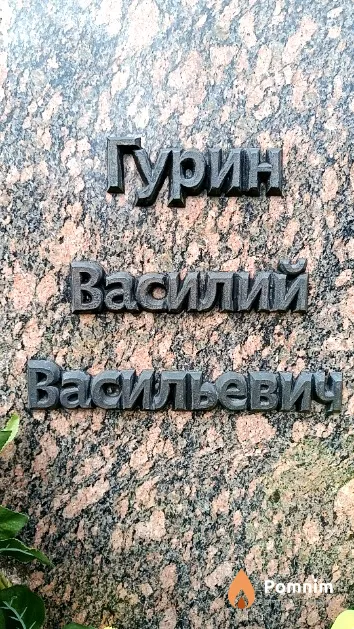 Гурин Василий Васильевич