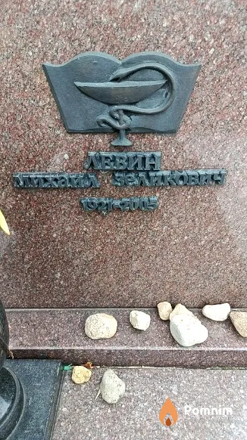 Левин Михаил Зеликович