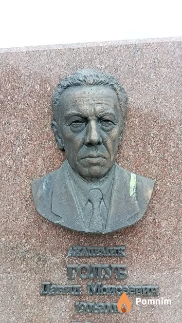 Голуб Давид Моисеевич