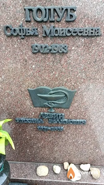 Голуб Софья Моисеевна