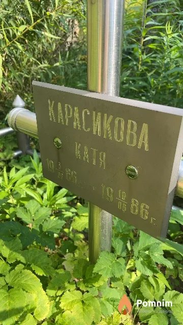 Карасикова Екатерина