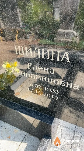 Шилина Елена Вениаминовна