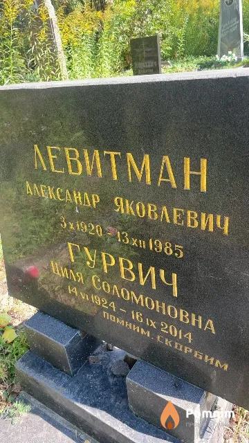 Левитман Александр Яковлевич