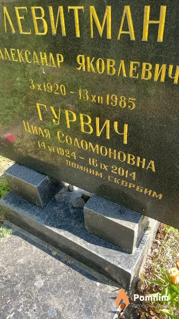 Гурвич Циля Соломоновна