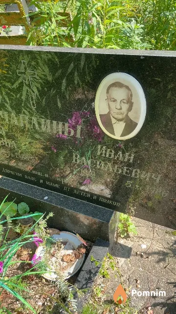 Чаплин Иван Васильевич
