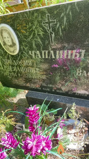 Чаплина Федосия Степановна
