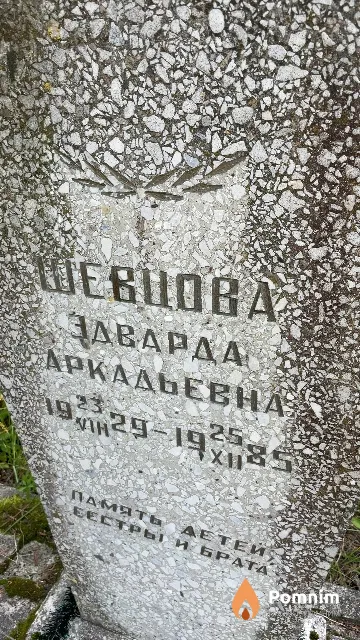 Шевцова Здварда Аркадьевна