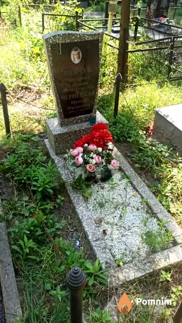 Чернецкая Ирина Ивановна