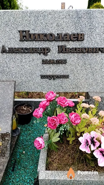 Николаев Александр Иванович