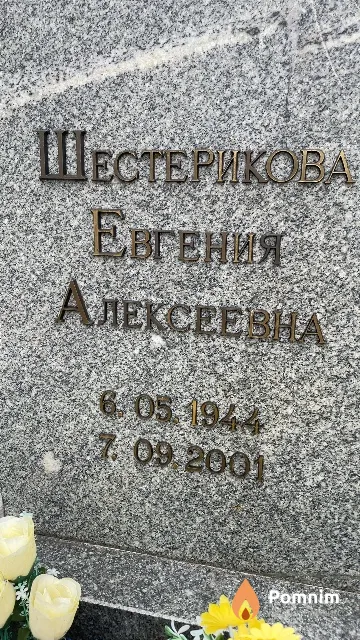 Шестерикова Евгения Алексеевна
