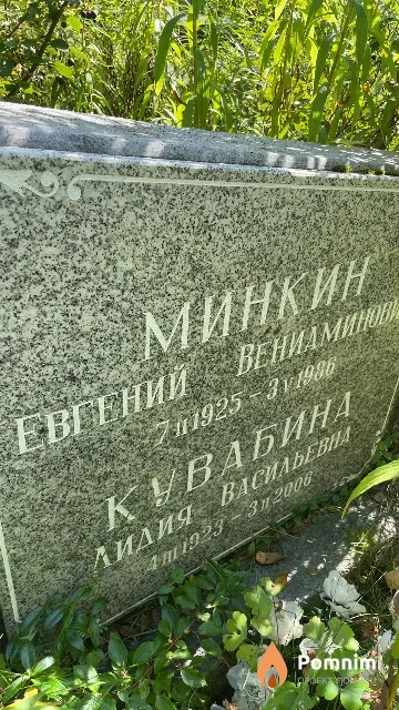 Манкин Евгений Вениаминович