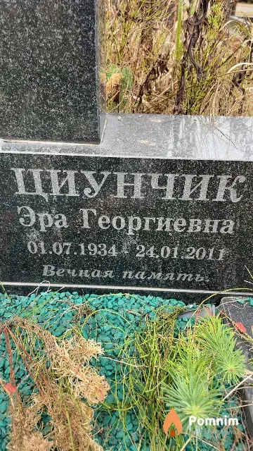 Циунчик Эра Георгиевна