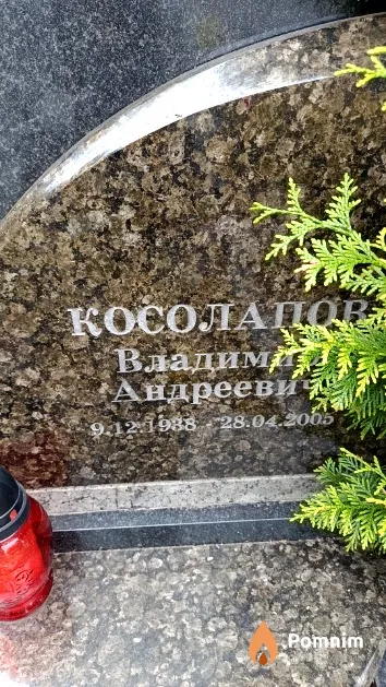 Косолапов Владимир Андреевич