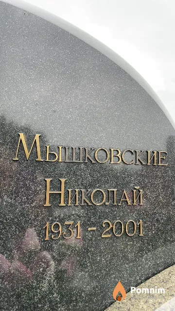 Мышковский Николай