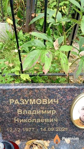 Разумович Владимир Николаевич