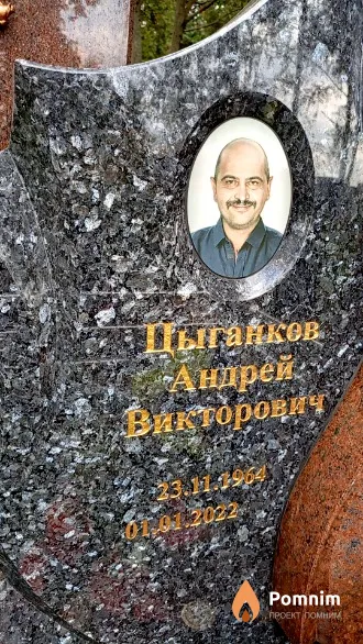 Цыганков Андрей Викторович