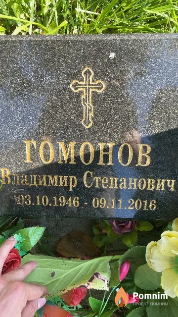 Гомонов Владимир Степанович