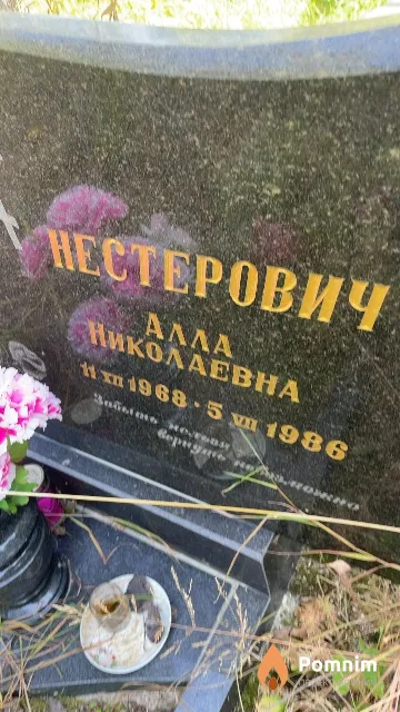 Нестерович Aлла Николаевна