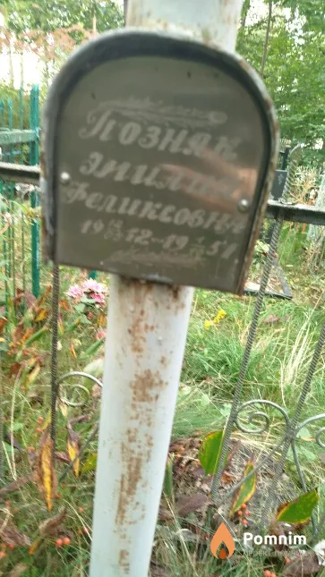 Позняк Эмилия Феликсовна