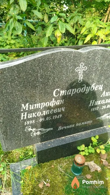 Стародубец Митрофан Николаевич