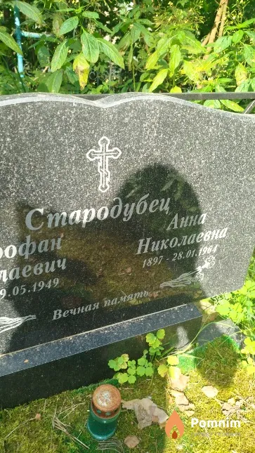 Стародубец Анна Николаевна