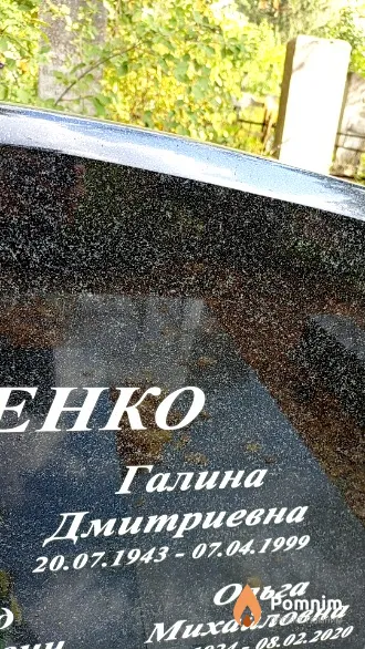 Николаенко Галина Дмитриевна