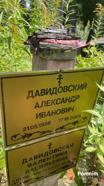 Давидовский Александр Иванович