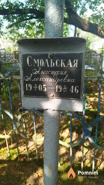 Смольская Анастасия Александровна