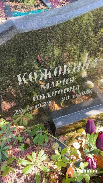 Кожокина Мария Ивановна