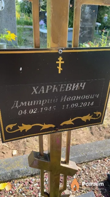 Харкевич Дмитрий Иванович