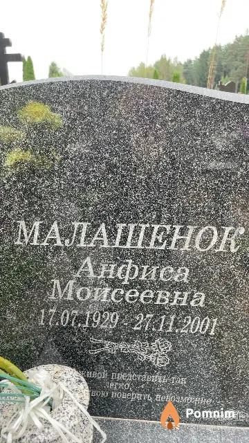 Малашенок Анфиса Моисеевна