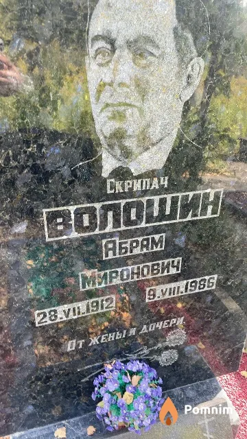 Волошин Абрам Миронович